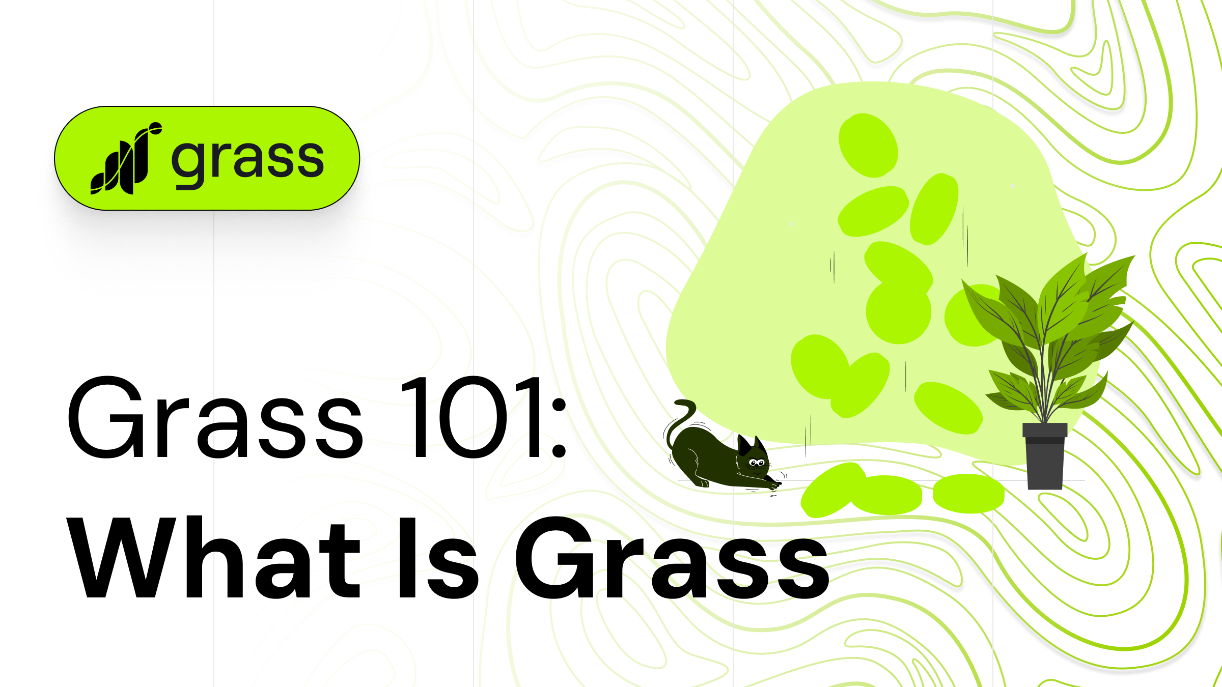 grass learn